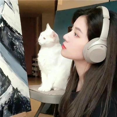 乌衣夜行